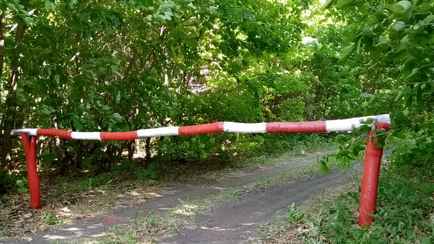 Минлесхоз ввел ограничения на посещение лесов по большей части Беларуси. А какие районы «зеленые»?