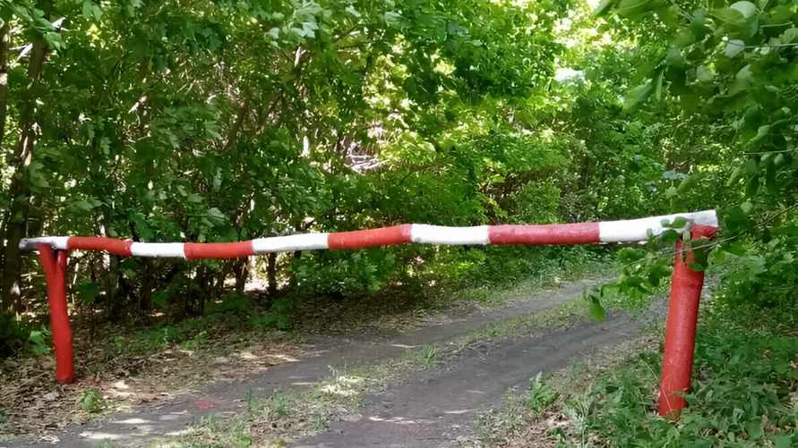 Минлесхоз ввел ограничения на посещение лесов по большей части Беларуси. А какие районы "зеленые"?