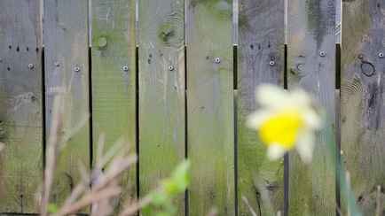 Как правильно очистить деревянный забор перед покраской? Вот простая инструкция