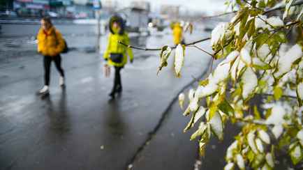 МЧС предупредило белорусов о заморозках в ночь на 24 апреля. В каких областях посоветовали укрыть растения?