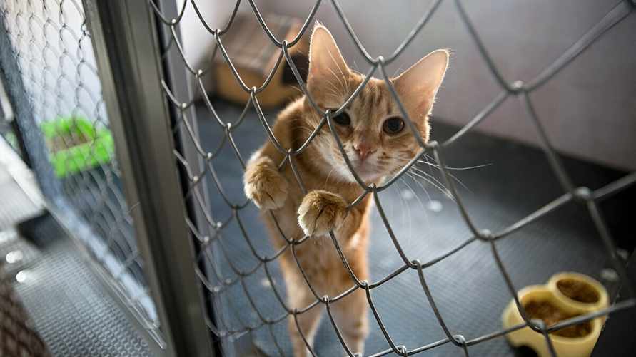 Фото: "Минск-Новости"