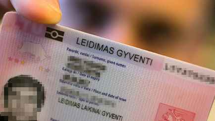 В Литве озвучили «компромиссные» визовые ограничения для белорусов. За сколько поездок на родину предложили лишать ВНЖ?