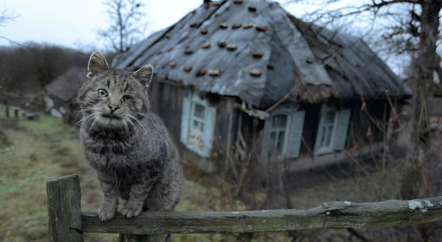 «У меня есть земельный участок, который я уже