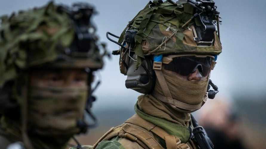 Шойгу «насчитал» на границе с Россией 33 тысячи солдат НАТО