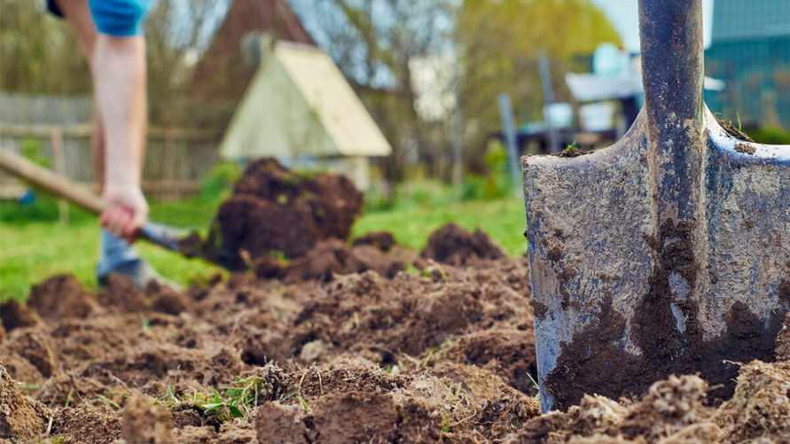 Штраф от 400 рублей. Инспекторы объяснили, когда за помощь соседу белорусам нужно заплатить налог