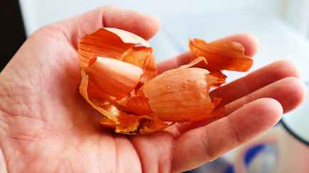 Выбрасываете луковую шелуху? Зря. Вот как применить ее с пользой на огороде и не только