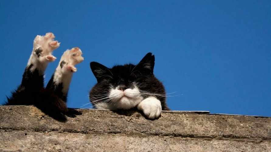 "Но не как в прошлый раз" — Синоптики предупредили белорусов о температурных качелях от +25°C до +12°C на предстоящей неделе