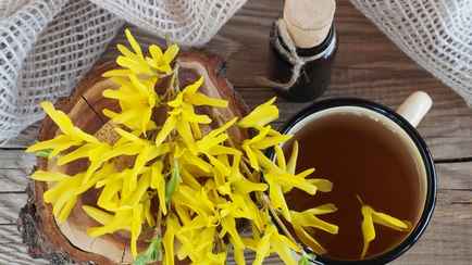 Чувствуете признаки простуды? Чай из цветов этого кустарника укрепит иммунитет