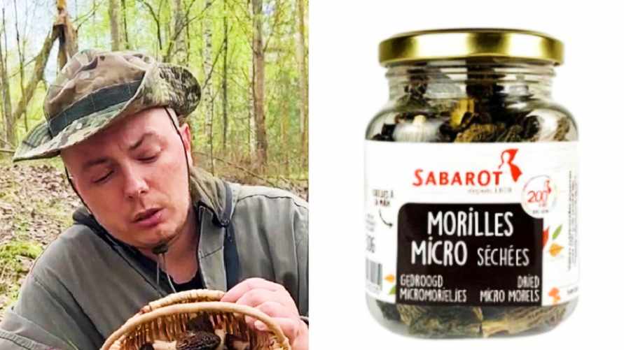 Такие белорусские весенние грибы продают в ЕС по 1000 евро за кило. Где найти и как не перепутать с ядовитым собратом?