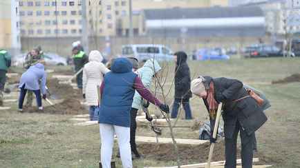 В Минтруда рассказали, кого из белорусов не пустят на субботник