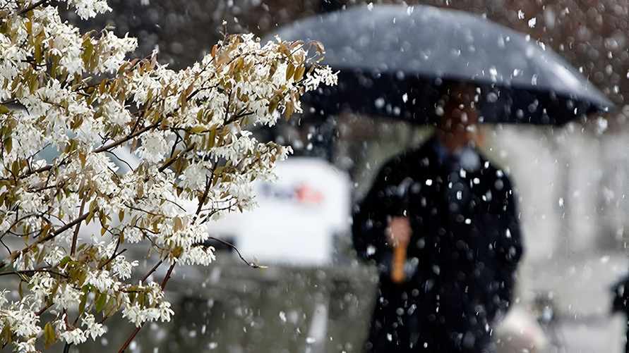 Фото иллюстрационное