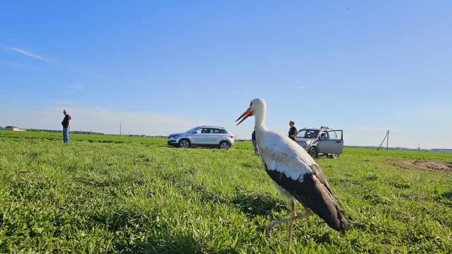 Фото: realbrest.by