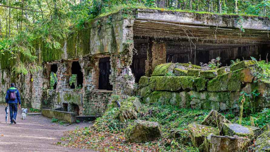 Волчье логово в Польше