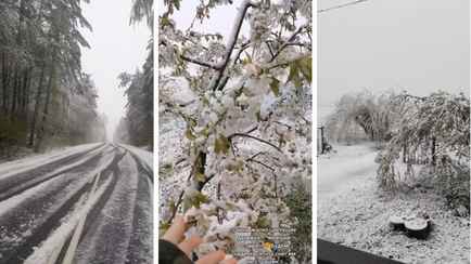 «С Новым годом!» — Белорусы поделились видео заснеженных трасс и садов в конце апреля