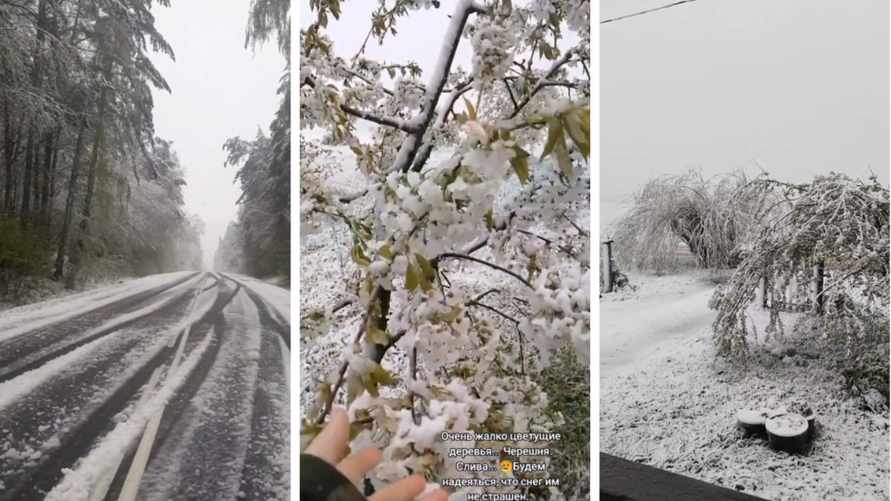 «С Новым годом!» - Белорусы поделились видео заснеженных трасс и садов в конце апреля