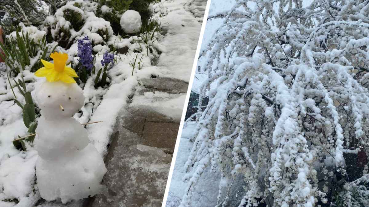 "Опять резину менять?" - Белорусы поделились видео снегопада в апреле. Какой регион "замело"?