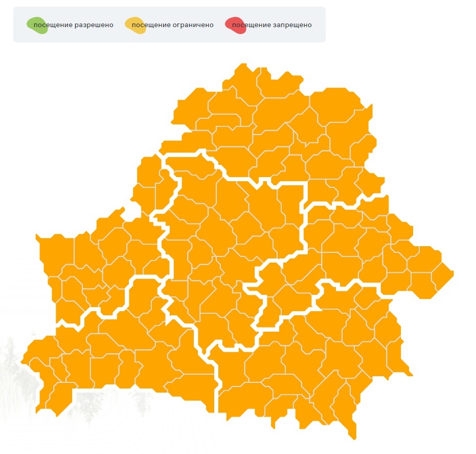 Ограничения на посещение лесов ввели во всех районах Беларуси