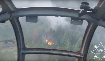 На военном полигоне в Брестской области вспыхнул пожар