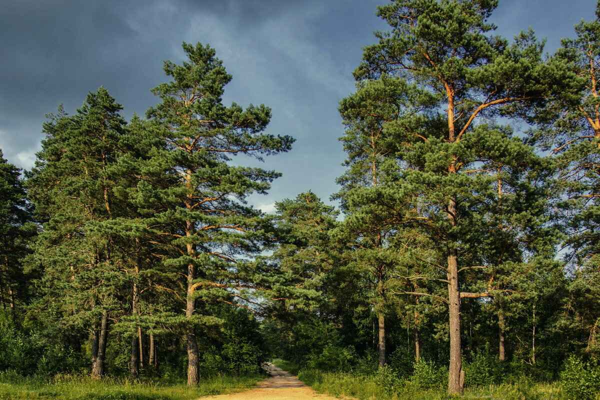 Фото иллюстративное