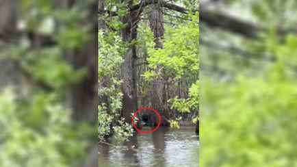 «Это дичь!» — Белорусов во время сплава на байдарках на Полесье напугал страшный вой. Что это было?