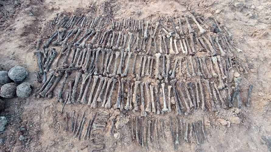 Фото: Госкомитет судебных экспертиз