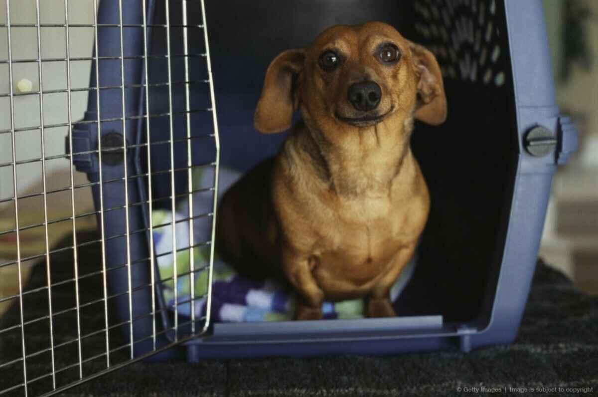 Фото иллюстративное