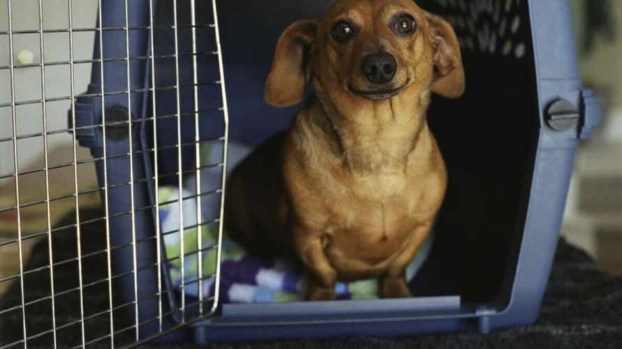 Фото иллюстративное