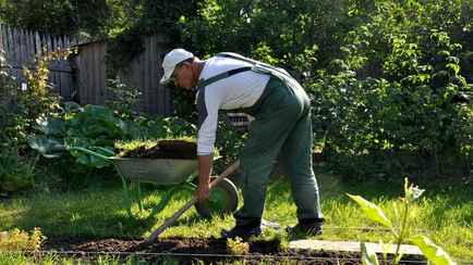 Штраф — до 800 рублей. МВД объявило о проверке огородов по всей Беларуси на наличие этих растений