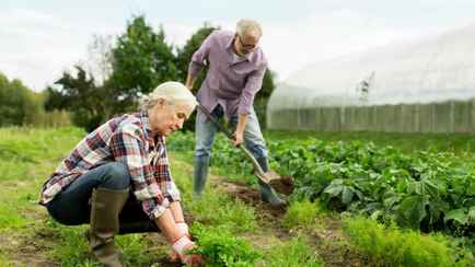 Китайские учёные нашли «средство от бессонницы», доступное многим белорусам. О чём речь?