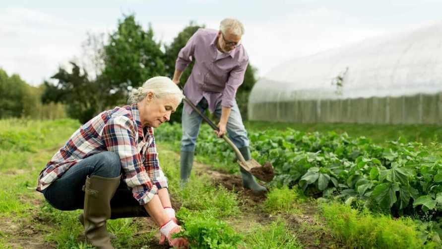 Китайские учёные нашли "средство от бессонницы", доступное многим белорусам. О чём речь?