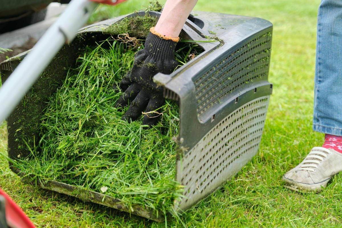 Как улучшить урожаи с помощью скошенной травы? Узнав эти 4 способа, вы перестанете её выбрасывать
