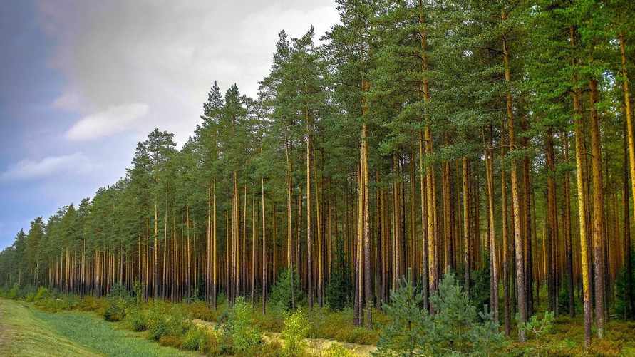 Фото иллюстративное