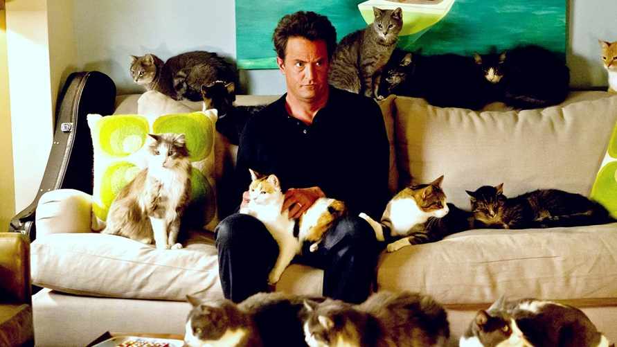 Фото иллюстрационное