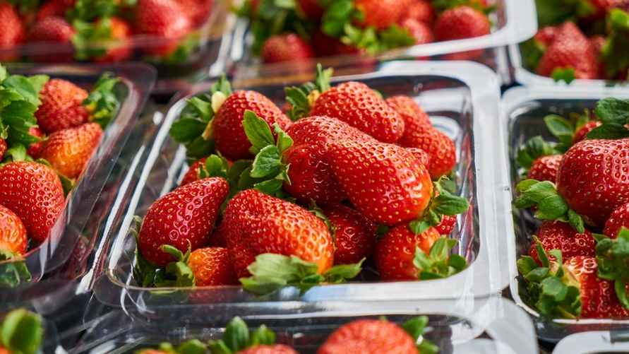 freepik.com/freestockcenter