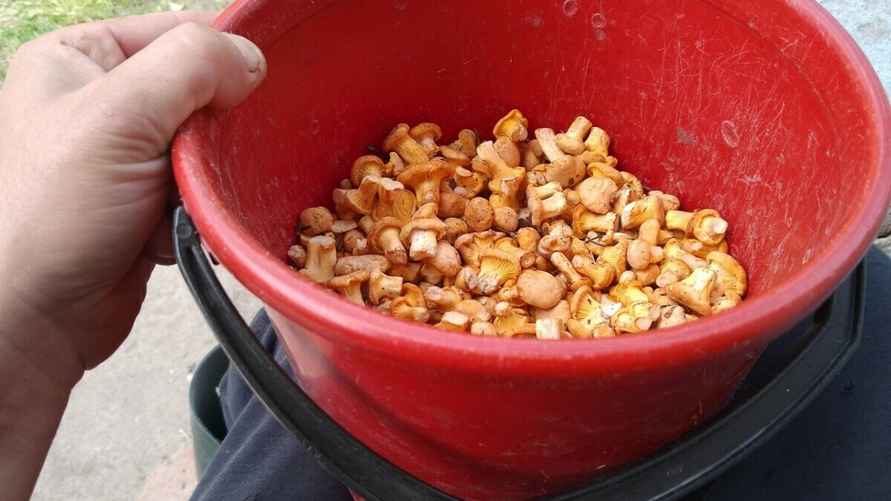 Фото: Андрей Даев / vk.com