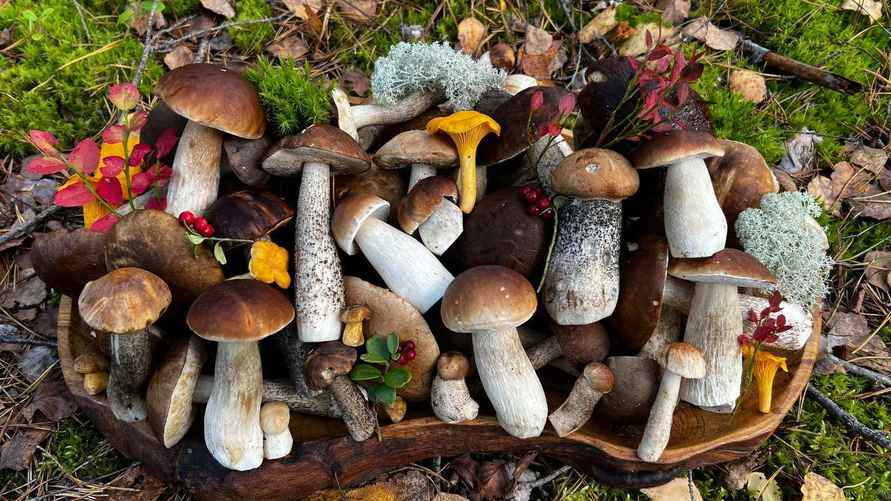 Фото: Александра Горбацевича