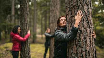 Сколько раз в неделю нужно ходить в лес? Вот какие проблемы со здоровьем это поможет решить