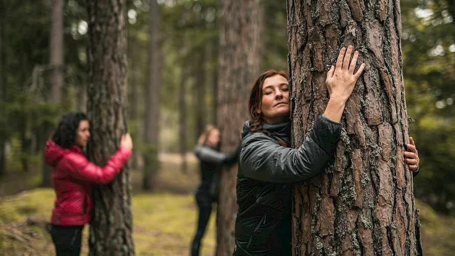 Сколько раз в неделю нужно ходить в лес? Вот какие проблемы со здоровьем это поможет решить