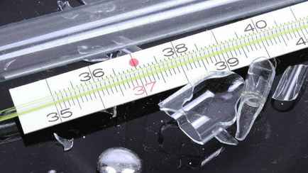 Нужны резиновая груша и лейкопластырь. В МЧС Беларуси объяснили, как правильно собрать ртуть и куда нести разбитый градусник