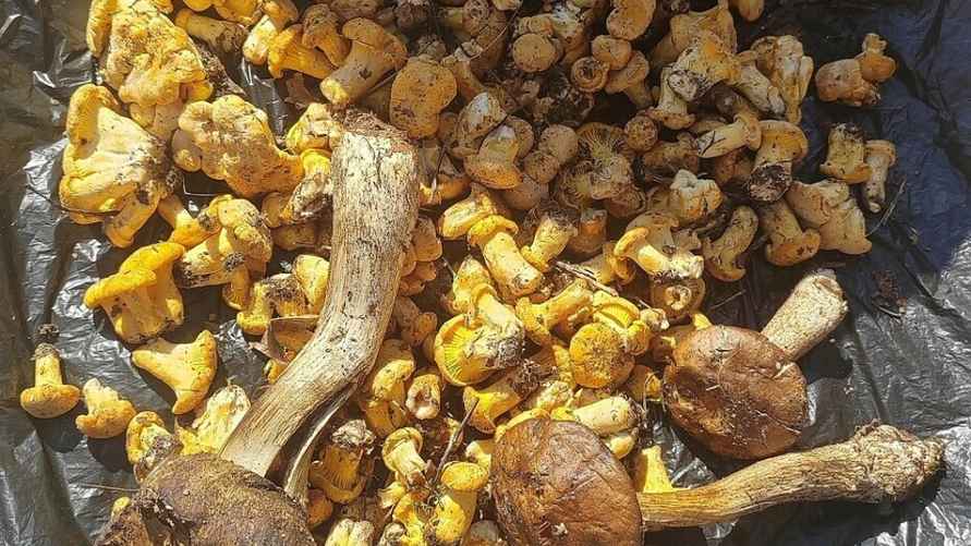 Фото: Андрей Лихута / vk.com