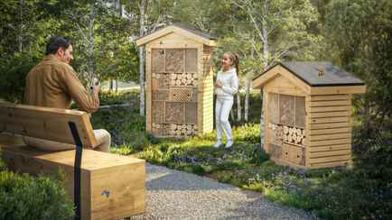 Под Минском решили установить отели для насекомых. Это как?