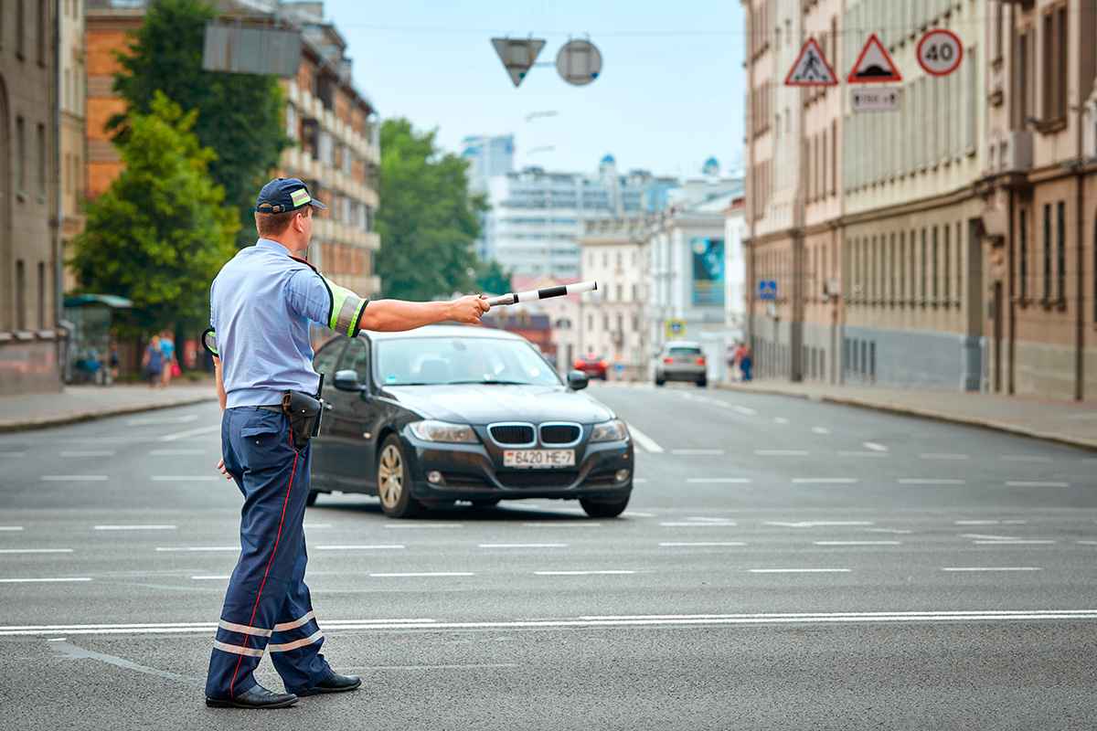 Фото иллюстрационное: Tricky_Shark/ Shutterstock.com