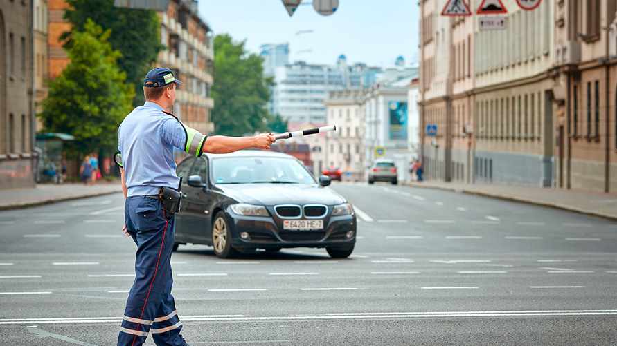 Фото иллюстрационное: Tricky_Shark/ Shutterstock.com