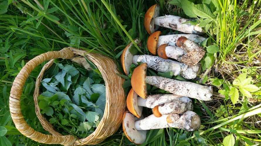 Фото: Татьяна Старкова / vk.com