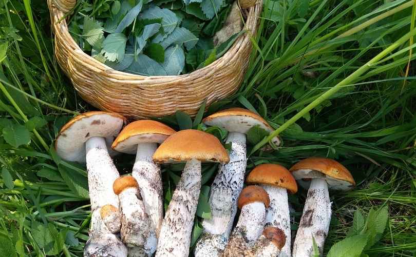 Фото: Татьяна Старкова / vk.com