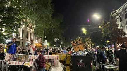 В Европарламенте предложили лишить Грузию статуса кандидата в члены ЕС из-за протестов против «русского закона»