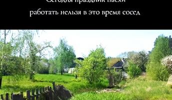 «Дай повод, абы не работать» — Белорус пожаловался в TikTok на соседа, косившего траву на Пасху. Что ответили подписчики?