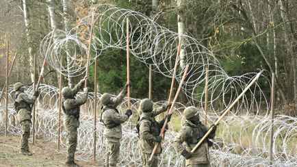 Тайны «Восточного щита». Что власти Польши на самом деле задумали сделать на границе с Беларусью?