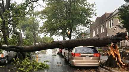 МЧС обьявило на субботу оранжевый уровень опасности в двух областях Беларуси