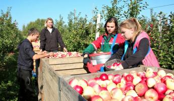 До 2000 рублей. Какие вакансии на летних каникулах пообещали белорусским школьникам и студентам?